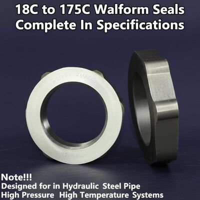 Sellos Walform de 18C a 175C Completos en Especificaciones Diseñados ...