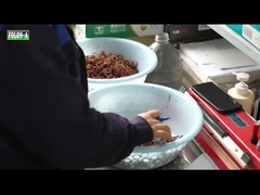 junta tórica de goma